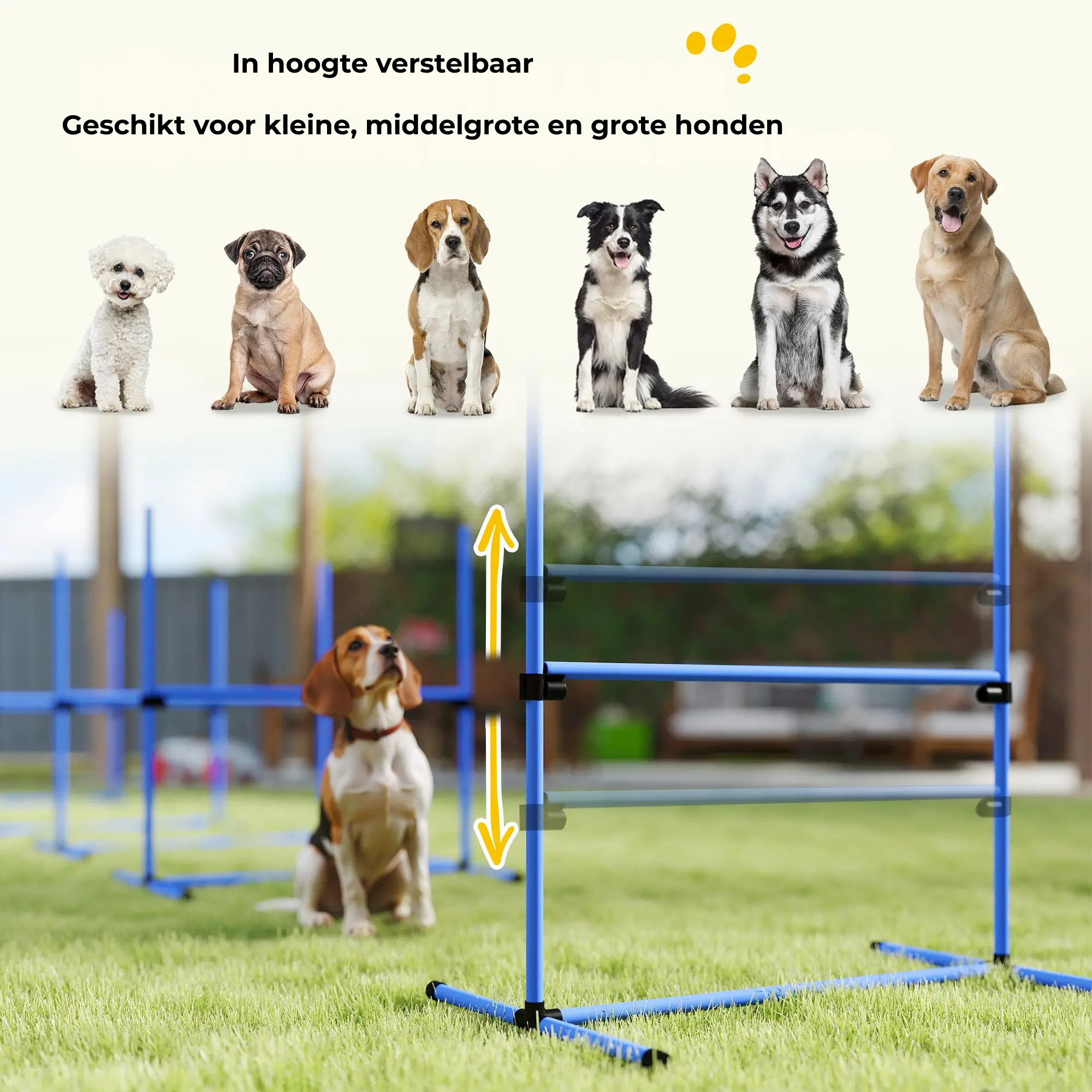 Honden agility set 4 delig met verstelbare hindernissen en springring geschikt voor kleine tot grote honden